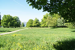 Bözingenberg